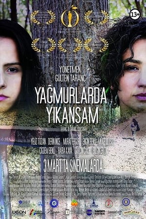 Wish to Wash with Rain 2016 Hindi Dual Audio 300MB